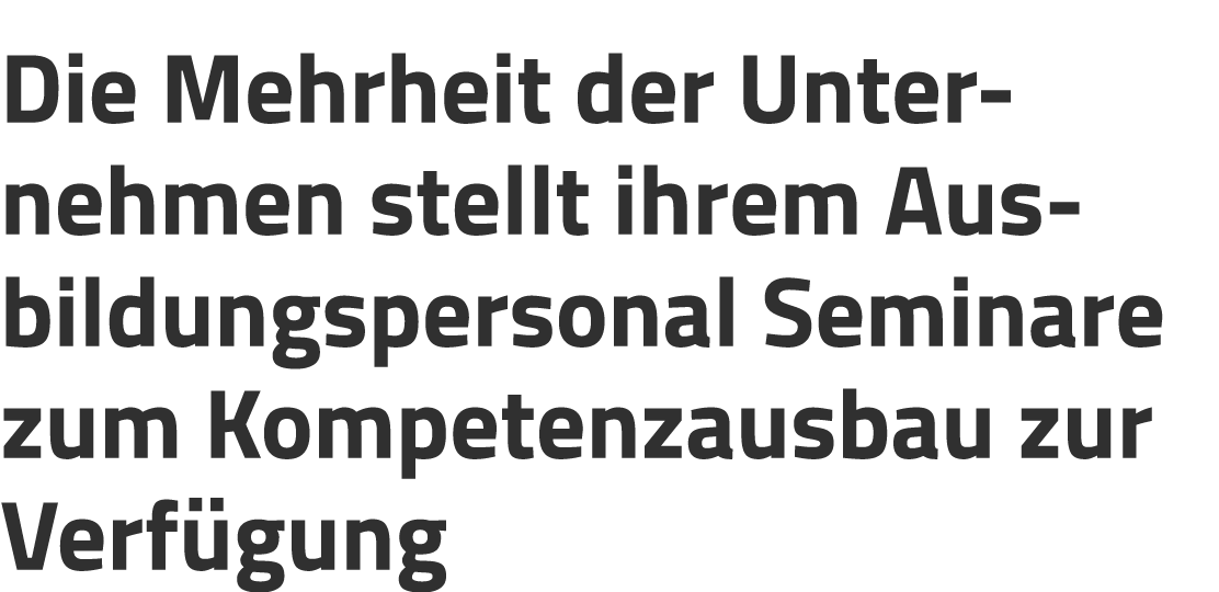 Die Mehrheit der Unternehmen stellt ihrem Ausbildungspersonal Seminare zum Kompetenzausbau zur Verf gung
